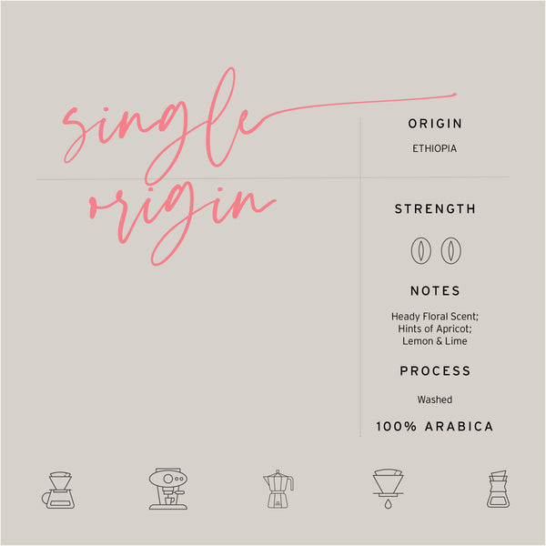 Ethiopian Sidamo Single Origin